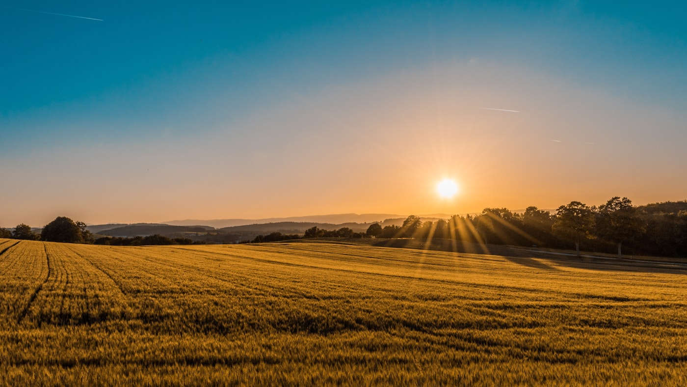 Open farmland under a wide sky